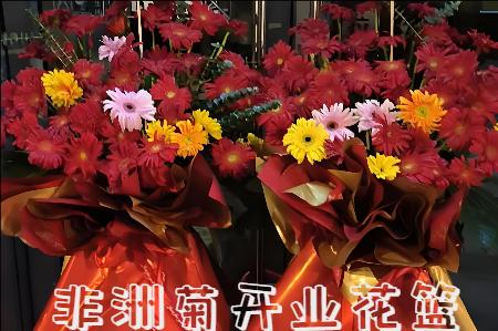 株洲醴陵市开业花篮